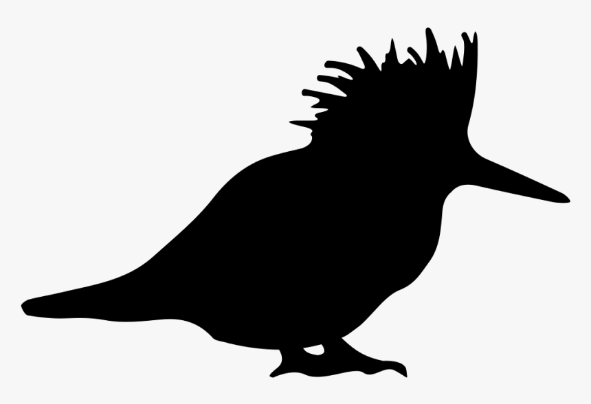 Bird Silhouette - Siluetas De Las Aves, HD Png Download, Free Download