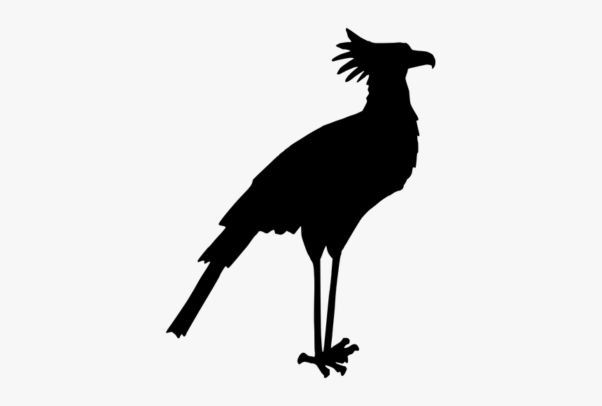 Secretary Bird Silhouette Vector Image - Bird Silhouette Art, HD Png Download, Free Download