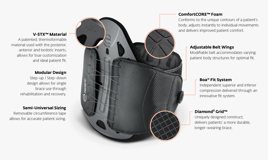 Exos Back Brace, HD Png Download, Free Download