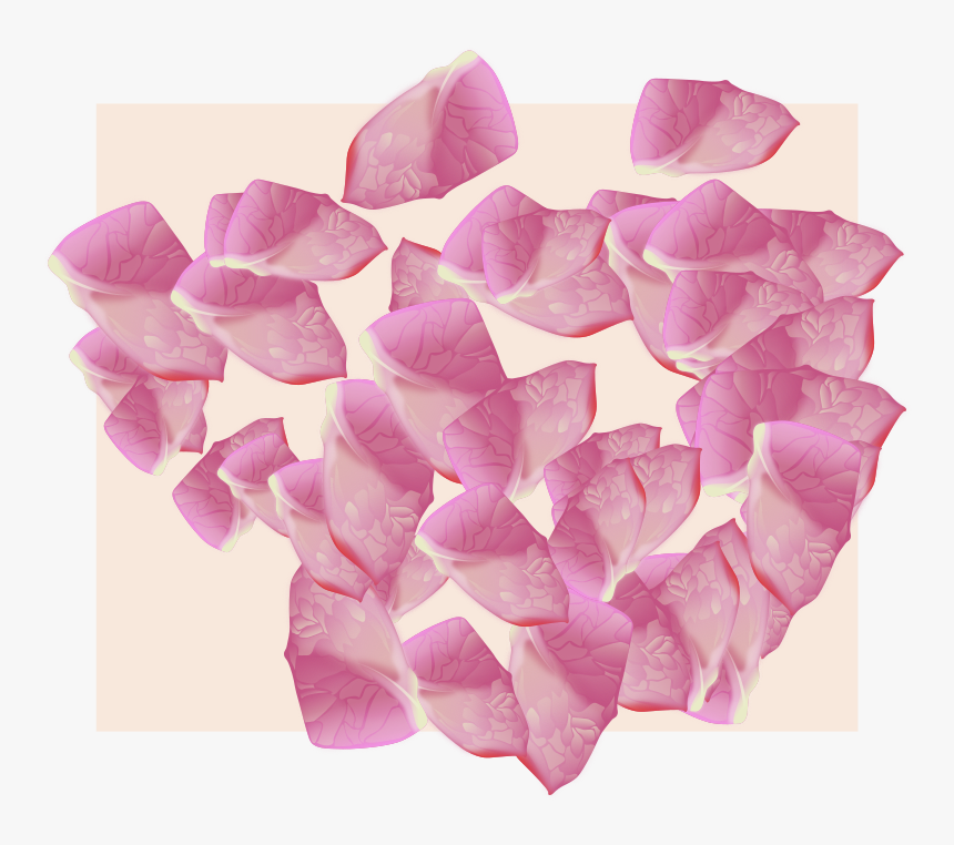 Flower Petal Vector - Rose, HD Png Download, Free Download
