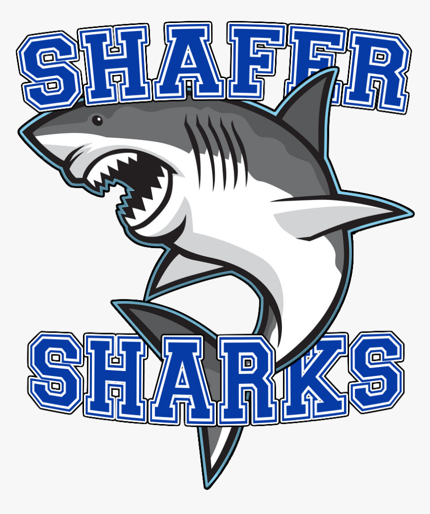 Shafer Shark Logo, HD Png Download, Free Download