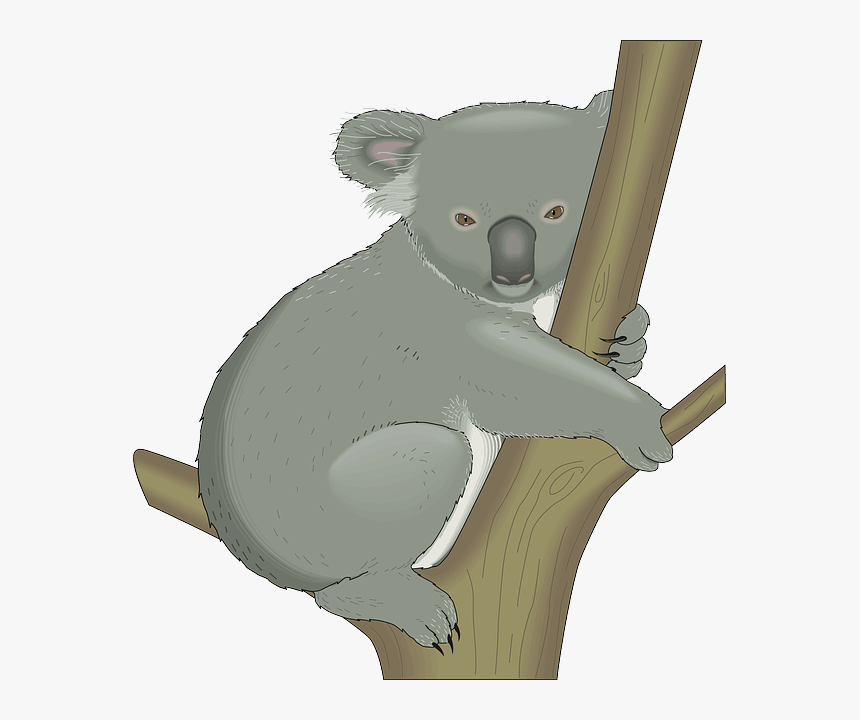 Koala Clip Art, HD Png Download, Free Download