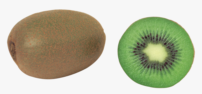 Kiwi Fruit Transparent Background, HD Png Download, Free Download