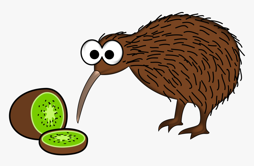 Cartoon Kiwi Bird With Kiwi Fruit Clip Arts - Kiwi New Zealand Clipart, HD Png Download, Free Download