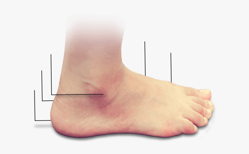 Feet - Barefoot, HD Png Download, Free Download