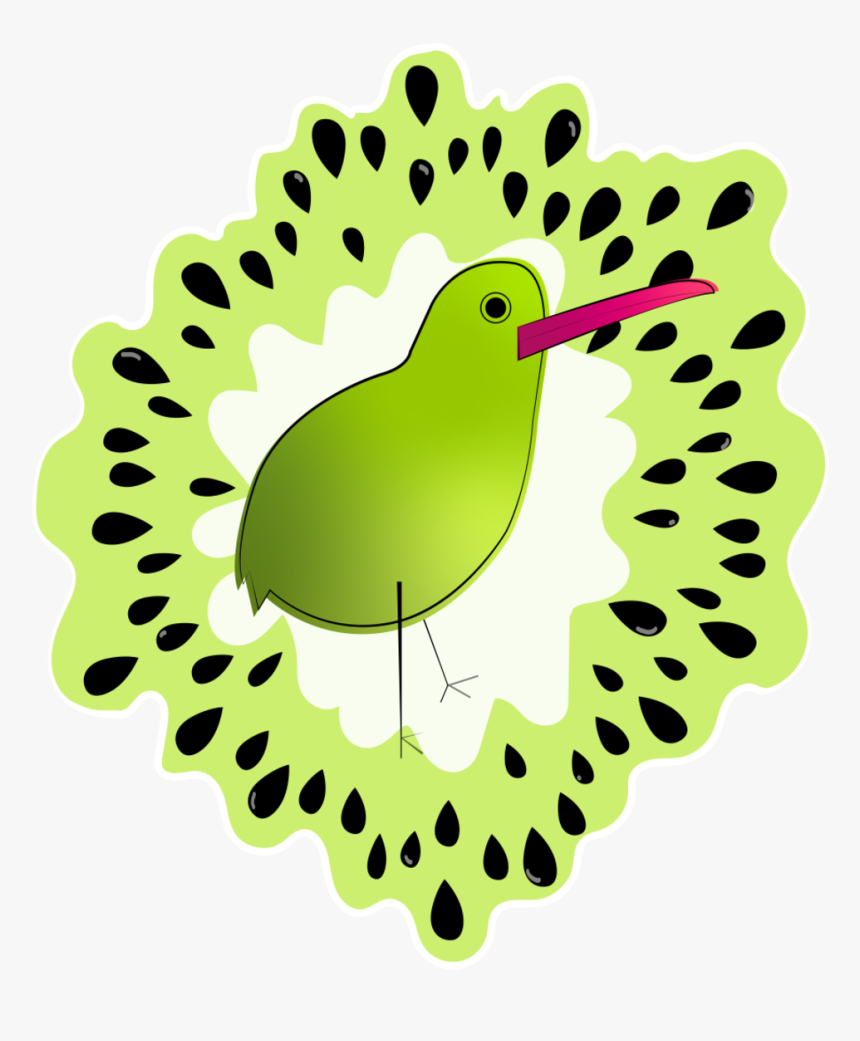 Kiwi - Illustration, HD Png Download, Free Download