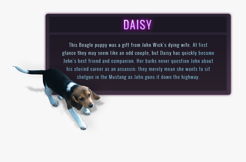 Garage Car Panel Daisy Puppy John Wick Daisy The Beagle Hd Png Download Kindpng