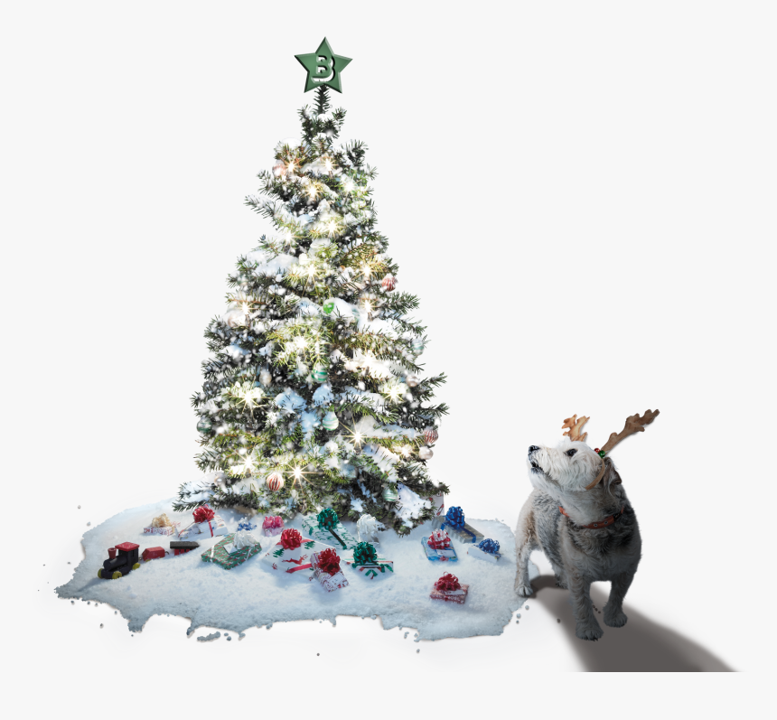 Christmas Tree And Max The Dog - Mars Christmas, HD Png Download, Free Download