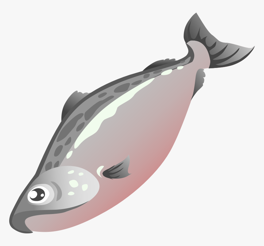 Salmon Fish Clip Art - Fish In The Market Clipart, HD Png Download, Free Download