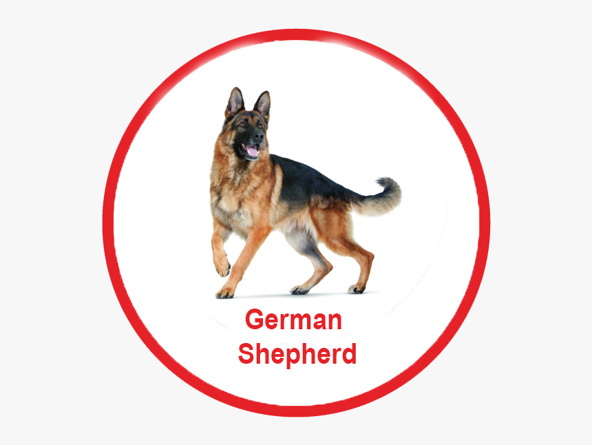 German Shepherd Royal, HD Png Download, Free Download