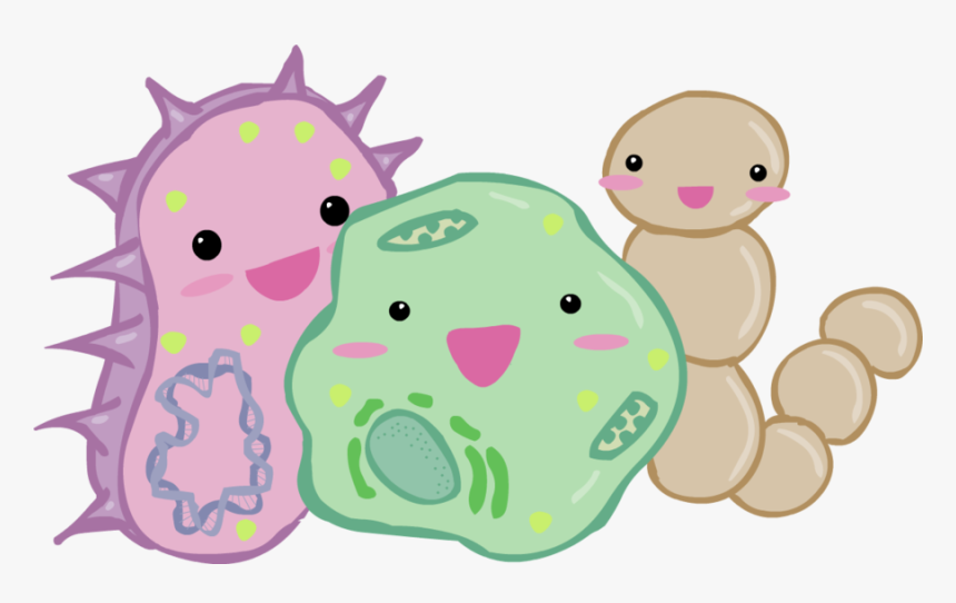 Bacteria Png Bacterias Png Transparent Png Kindpng