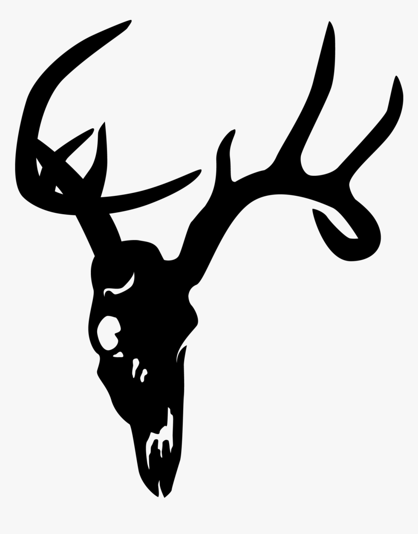 White-tailed Deer Elk Skull Clip Art - Free Transparent Deer Clipart, HD Png Download, Free Download