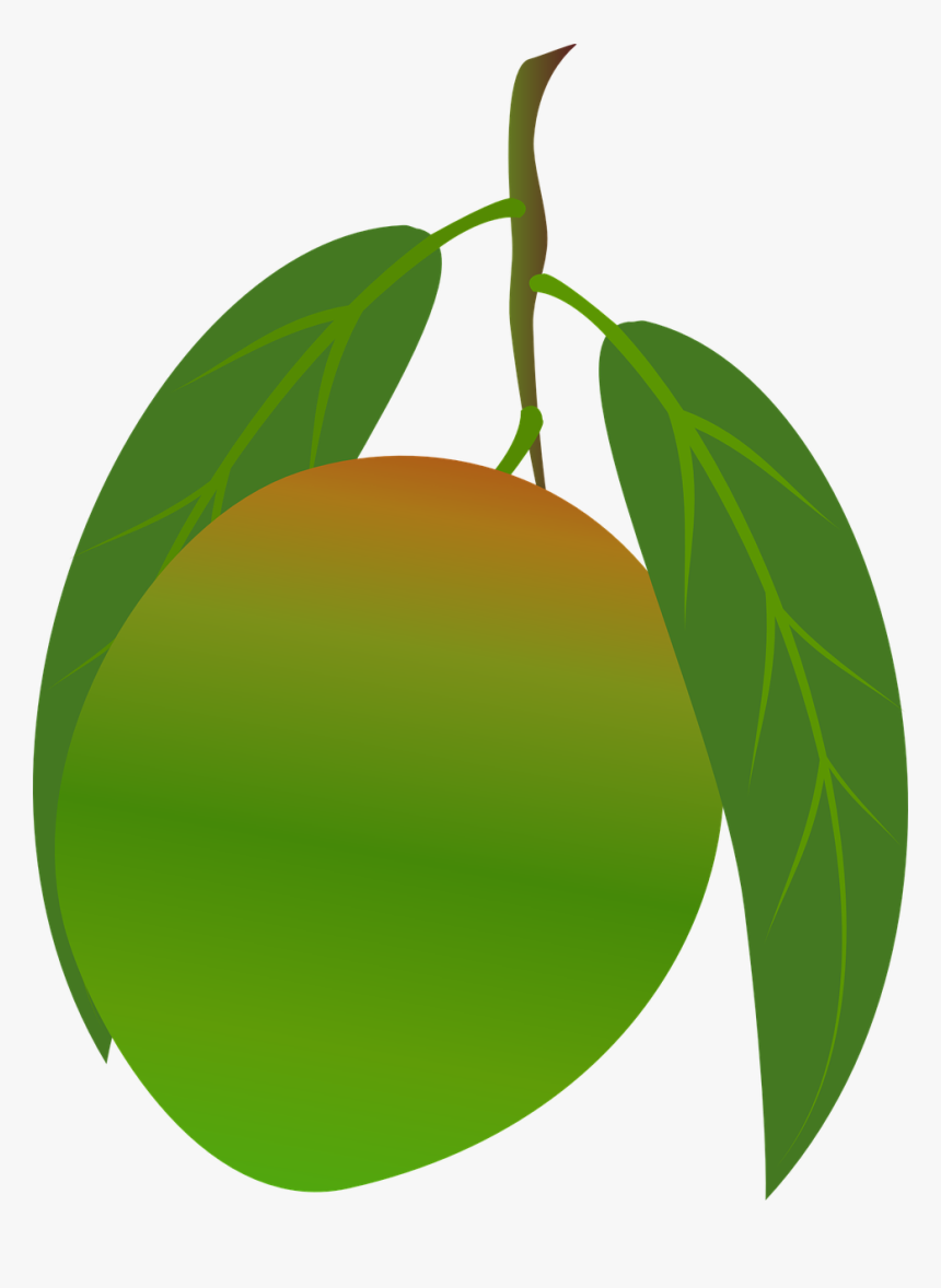 Mango, Fruit, Food - Mango, HD Png Download, Free Download