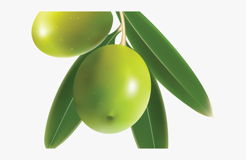 Olive Clipart - Clipart Olive Png, Transparent Png, Free Download