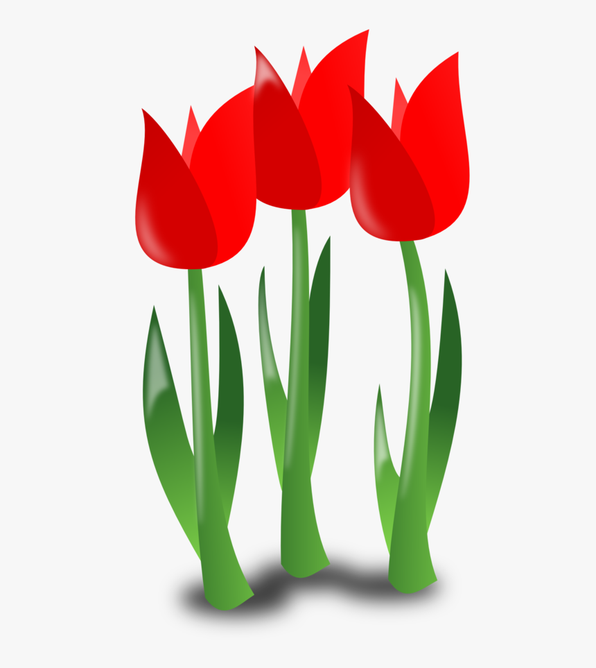 Showing Post & Media For Cartoon Mothers Day Flowers - Mothers Day Flowers Cartoon, HD Png Download, Free Download