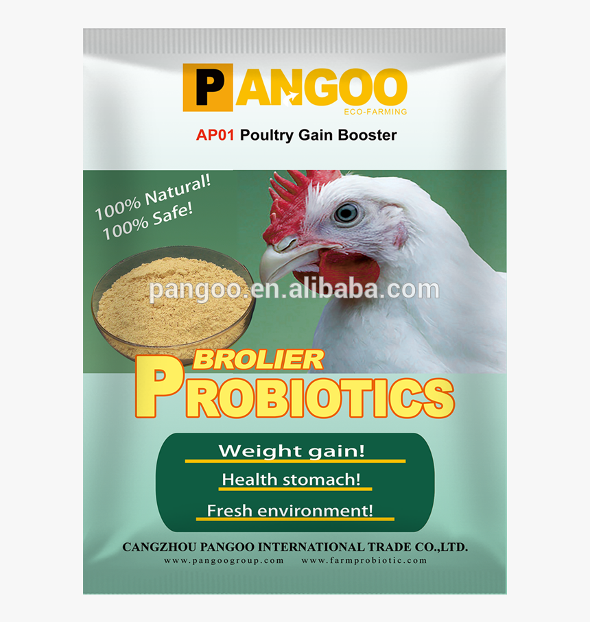 Pangoo Broiler Chicken Premix Probiotics In Feed - Chicken, HD Png Download, Free Download