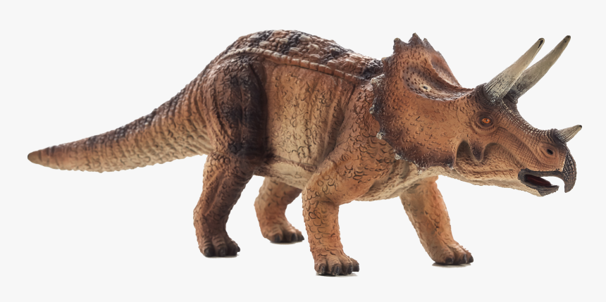 Triceratops Mojo, HD Png Download, Free Download