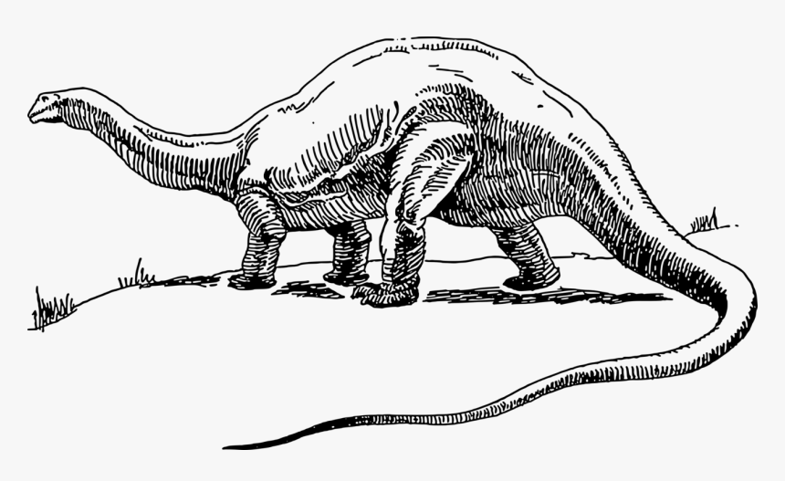 Brontosaurus Clipart Black And White, HD Png Download, Free Download