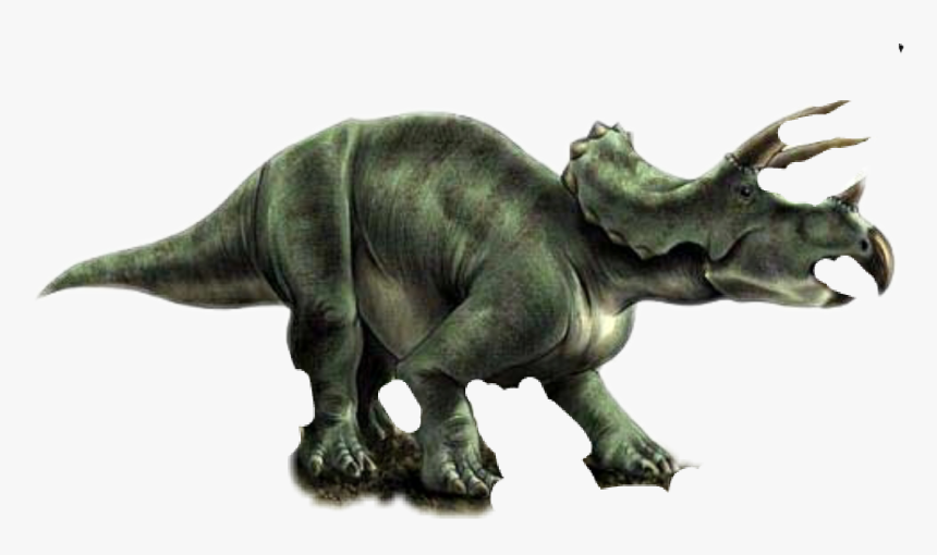 #triceratops #freetoedit - Triceratops, HD Png Download, Free Download