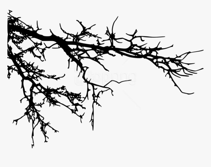 Tree Branches Silhouette Png, Transparent Png, Free Download