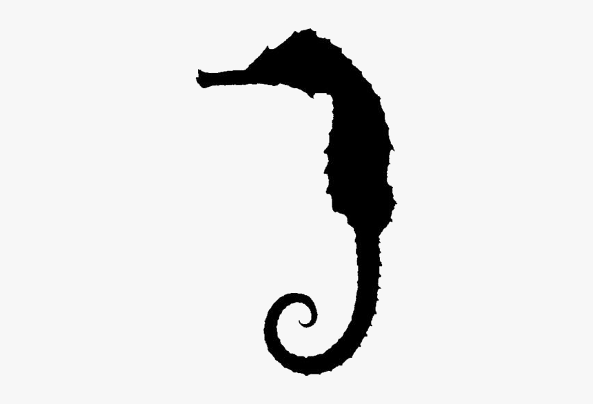 Transparent Seahorse Png For Free - Northern Seahorse, Png Download, Free Download