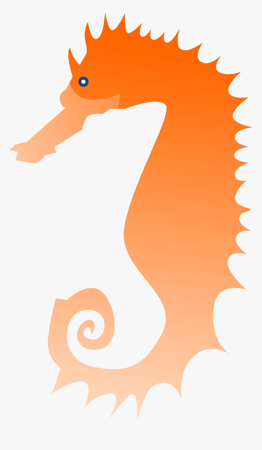 Transparent Sea Horse Clipart - Illustration, HD Png Download, Free Download