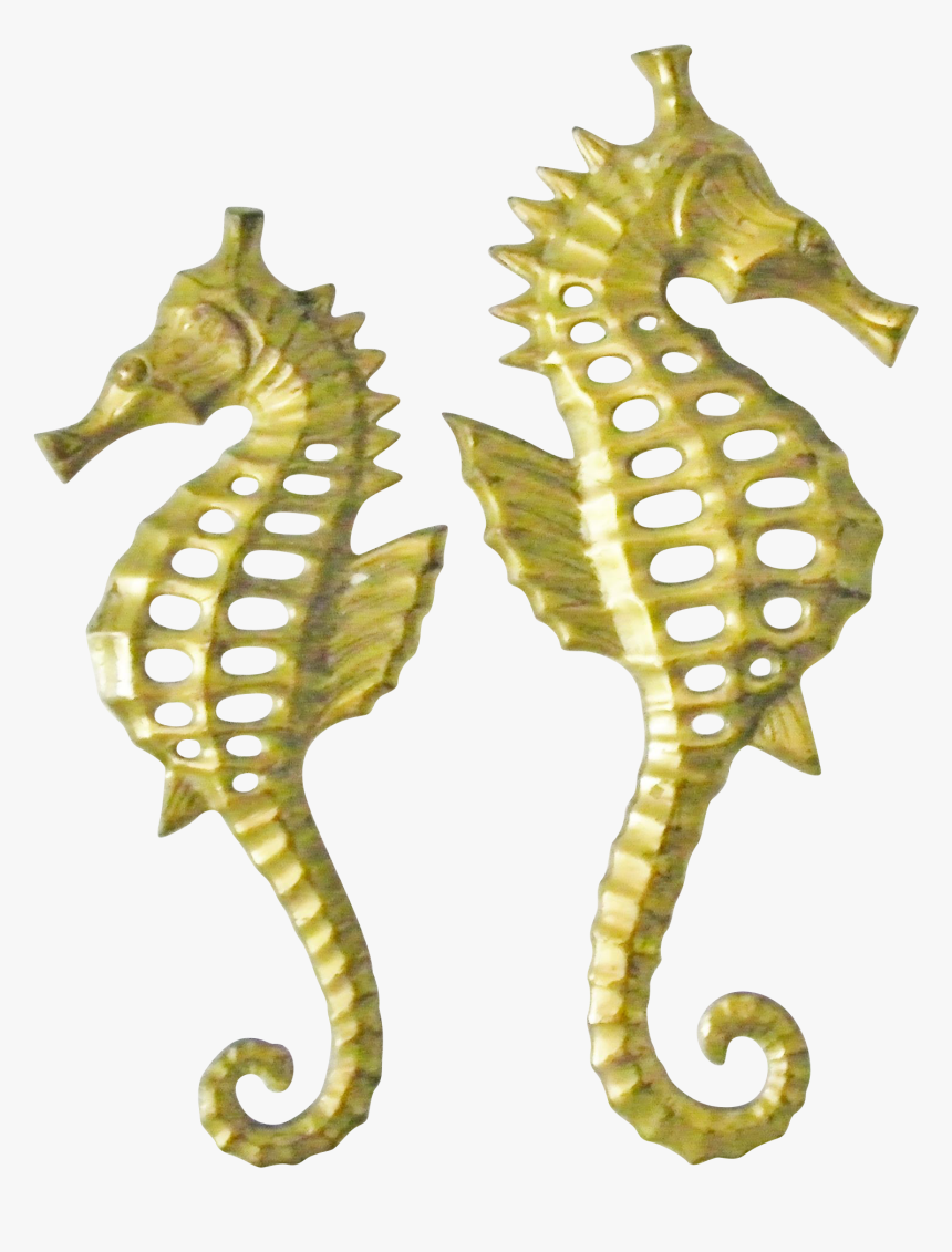 Seahorse , Png Download - Hippocampus Bleekeri, Transparent Png, Free Download