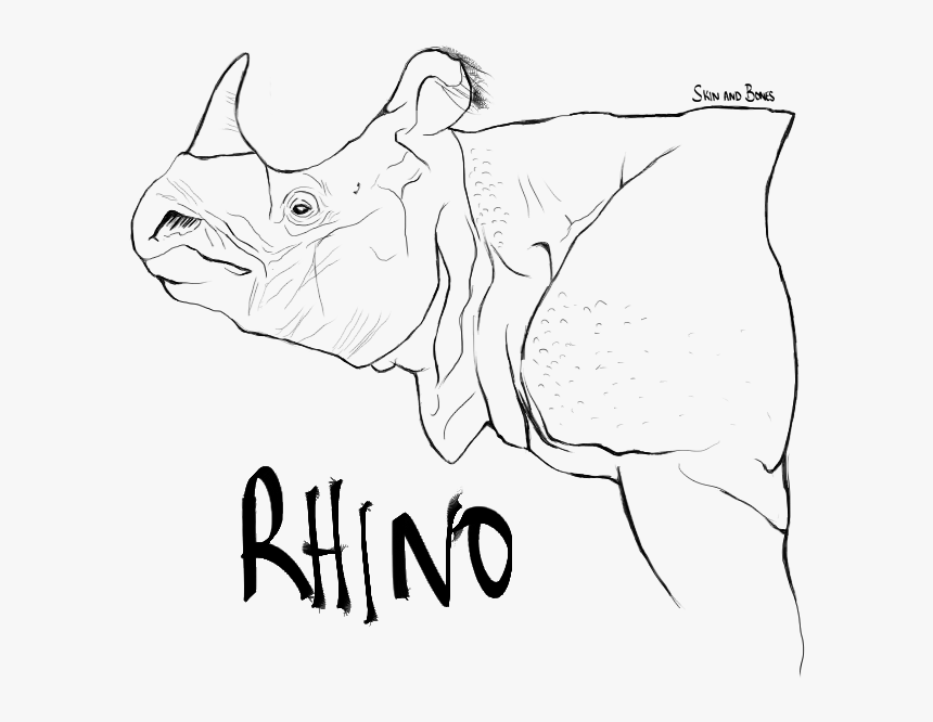 Rhino - Line Art, HD Png Download, Free Download