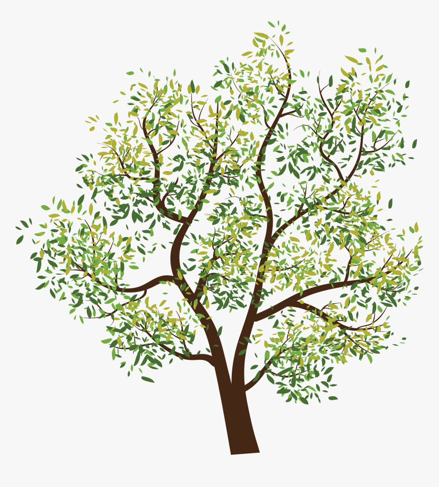 Transparent Background Tree Clipart, HD Png Download, Free Download