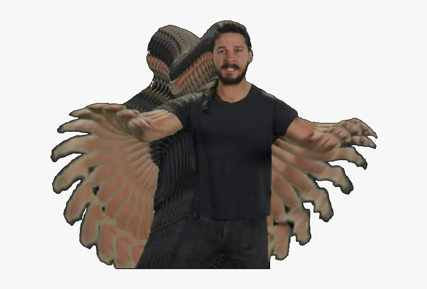 Shia Labeouf Do It Png - Turkey, Transparent Png, Free Download