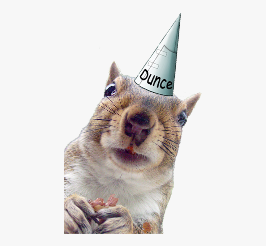 Dunce Cap , Png Download - Dunce Cap, Transparent Png, Free Download