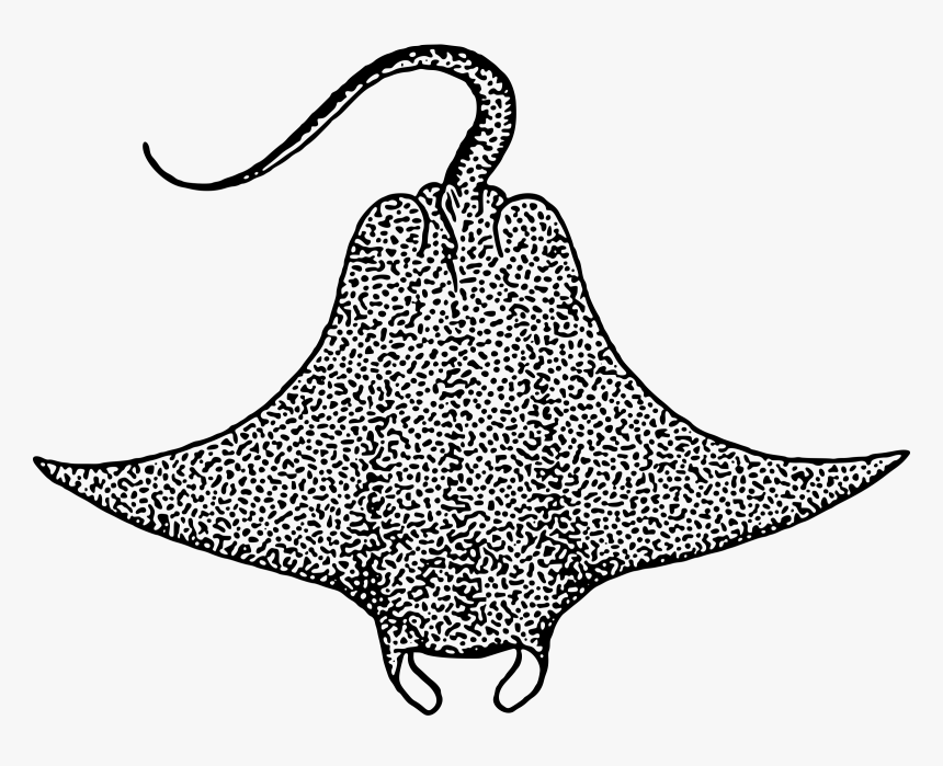 Devil Fish Clip Arts - Stingray Black And White, HD Png Download, Free Download