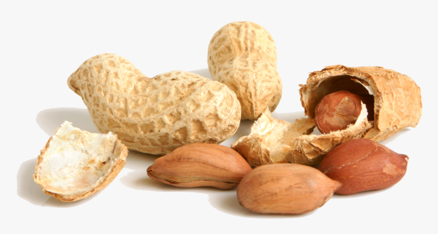 Peanut Png, Transparent Png, Free Download