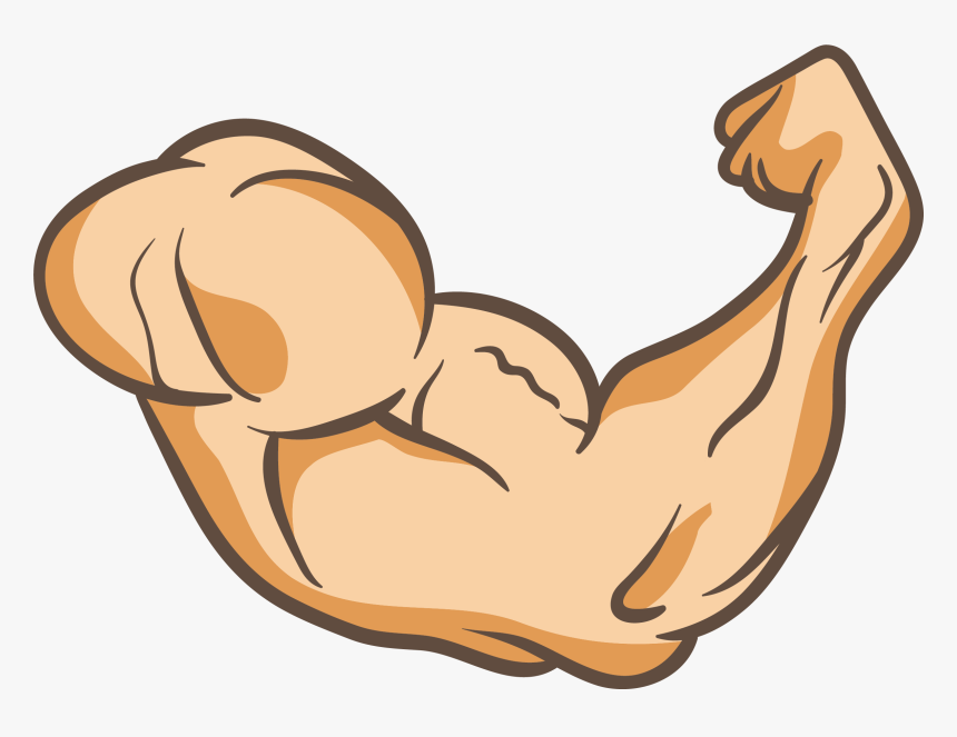 Arms Thumb Muscle Clip Art, HD Png Download, Free Download