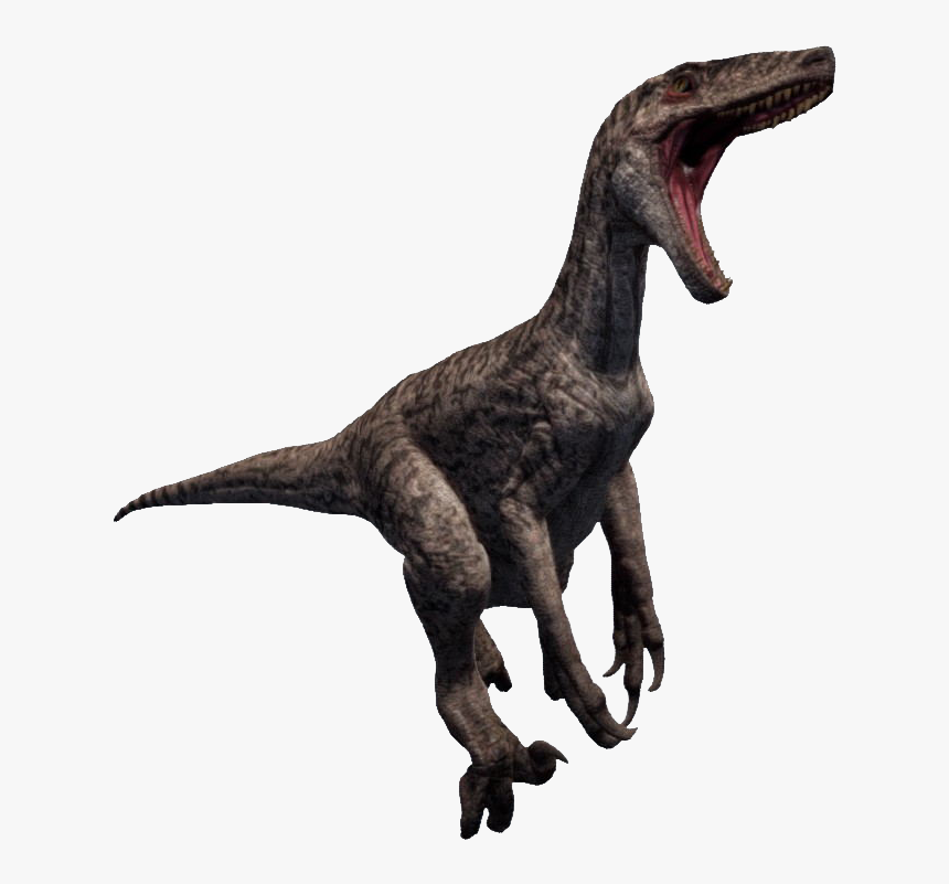 Raptor Png - Раптор Png, Transparent Png, Free Download