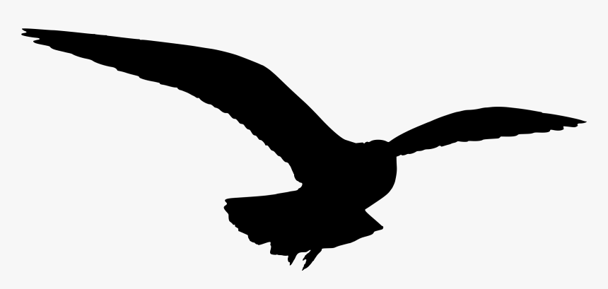 Gulls Bird Silhouette Clip Art - Seagull Silhouette Png, Transparent Png, Free Download
