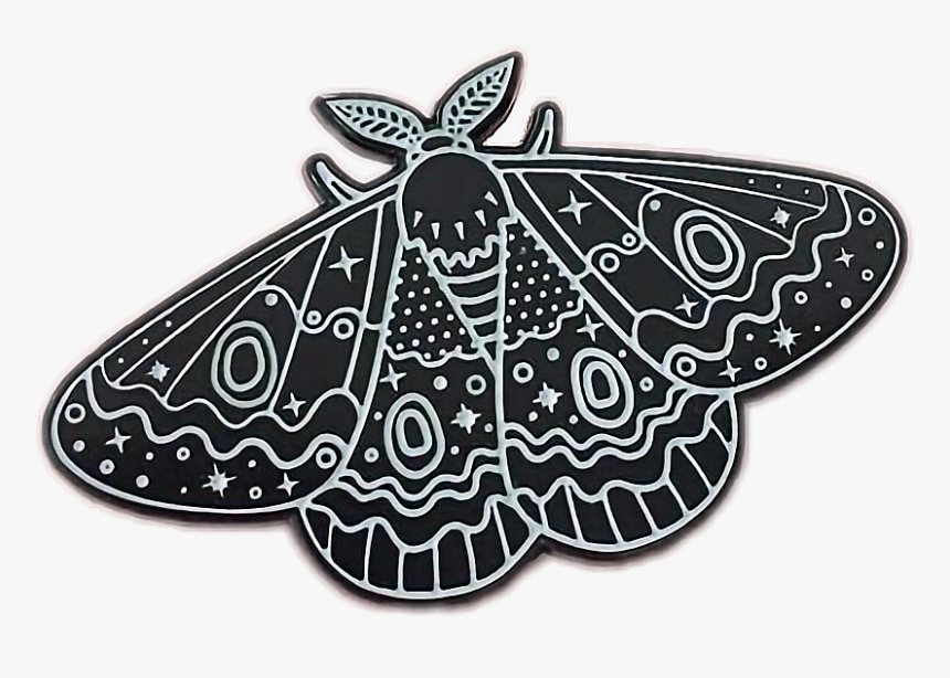 Moth Clipart Tumblr Transparent - Moth Drawing, HD Png Download, Free Download