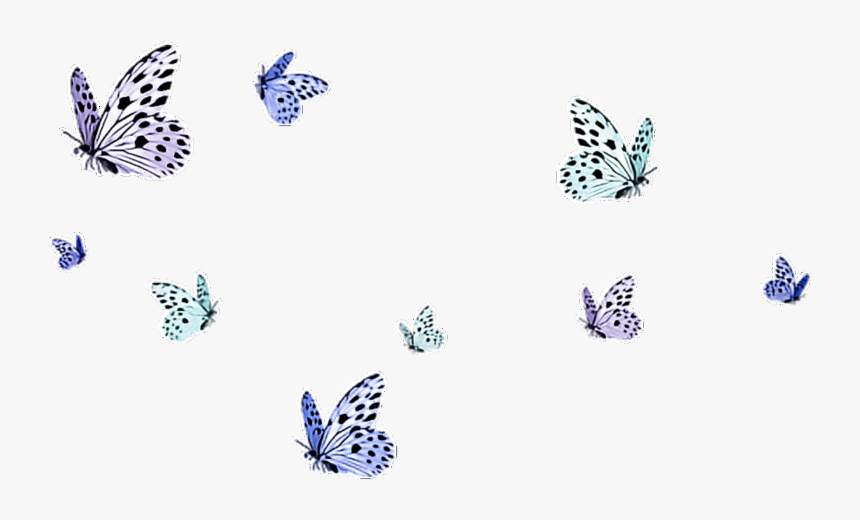 https://www.kindpng.com/picc/m/129-1290925_moth-clipart-tumblr-transparent-transparent-background-butterflies-png.png