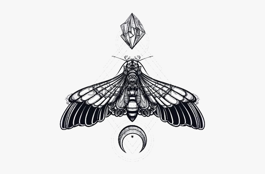 #tattoo #moth #bug #moon #design #drawing #idea #png - Transparent ...