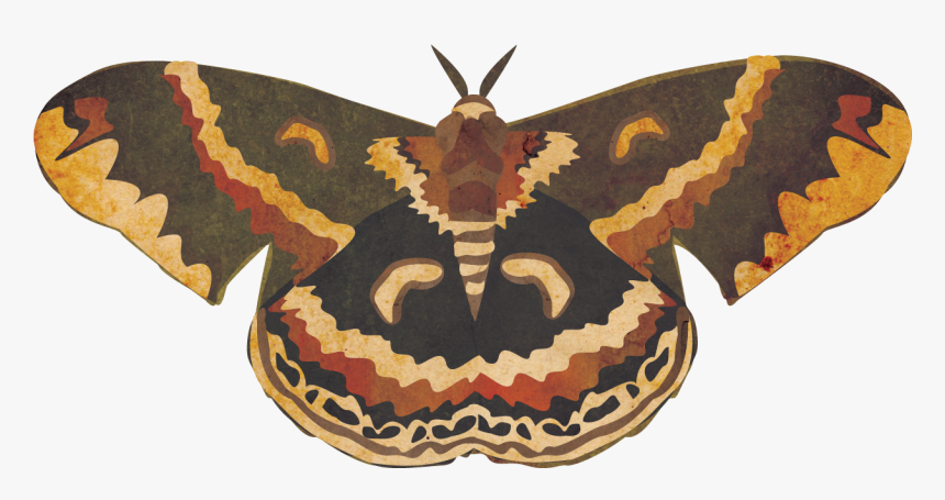 Cecropia Moth Transparent, HD Png Download, Free Download