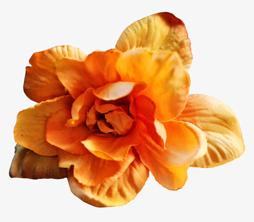 Hand Painted Warm Yellow Flowers Png Transparent - Artificial Flower, Png Download, Free Download