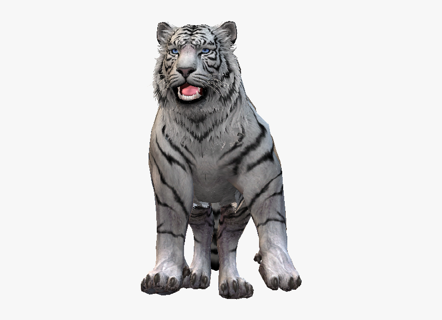 Siberian Tiger, HD Png Download, Free Download