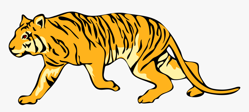 Yellow Tiger PNG Image for Free Download