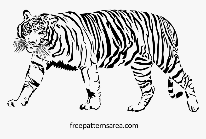 Transparent Tiger Scratch Png - Tiger Drawing Png, Png Download, Free Download