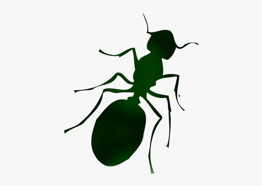 Transparent Ant Silhouette, Ant Png Image - Clip Art Of Ant, Png Download, Free Download