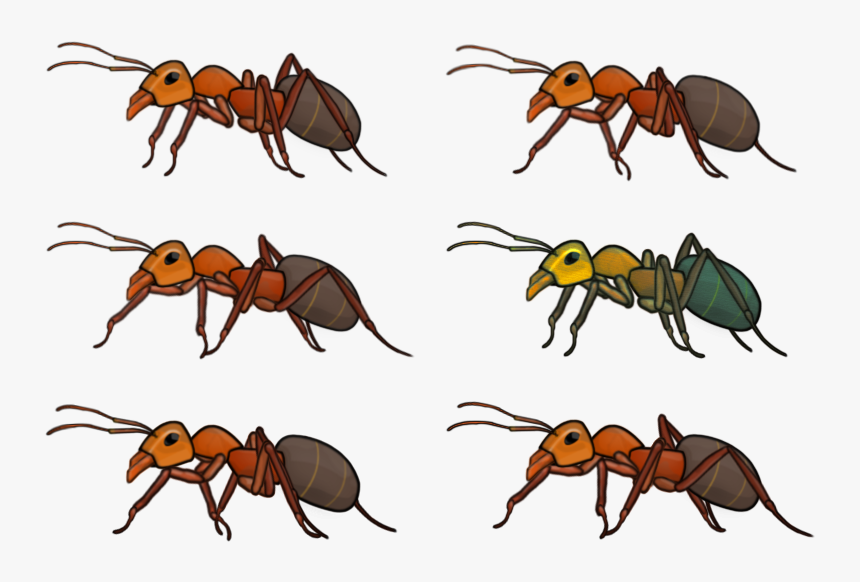 Free Game Art Arnie - Carpenter Ant, HD Png Download, Free Download