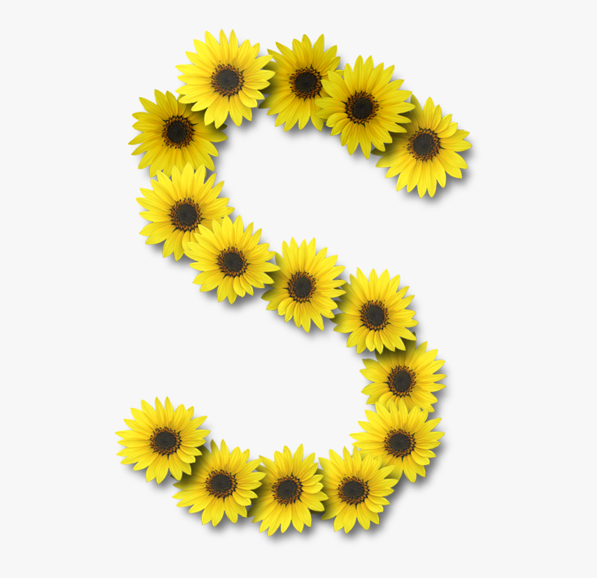 Transparent Sunflower Letters, HD Png Download, Free Download