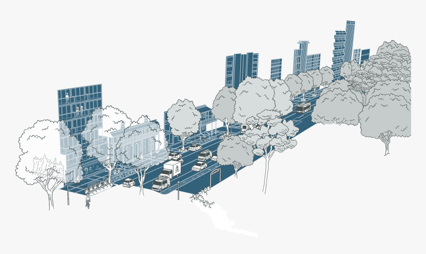 Crossing Points Flora And Fauna City Views - Computer Network, HD Png Download, Free Download