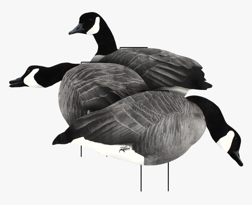 Canada Goose Silhouette, HD Png Download, Free Download