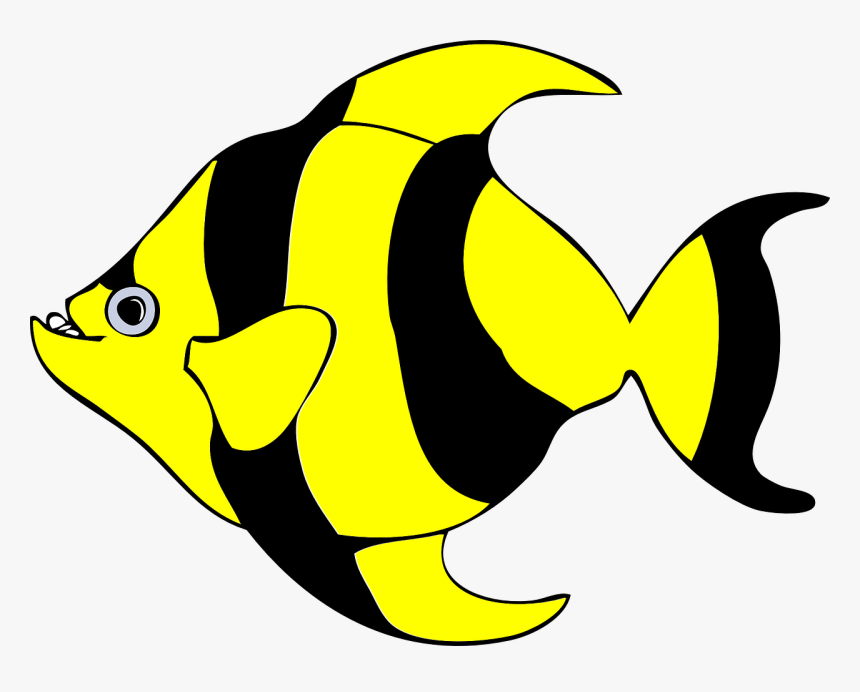 Fish Clipart, HD Png Download, Free Download